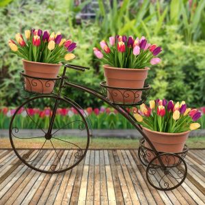 Parisian Style, Tricycle Plant Stand Bronze